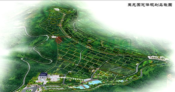 首页 - PG电子官方网站