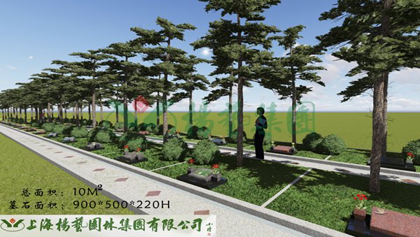 首页 - PG电子官方网站