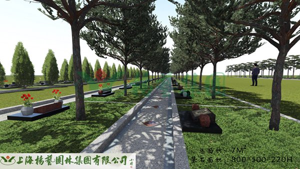 首页 - PG电子官方网站