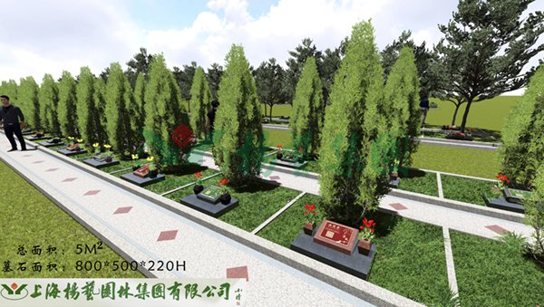 首页 - PG电子官方网站