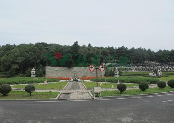 首页 - PG电子官方网站