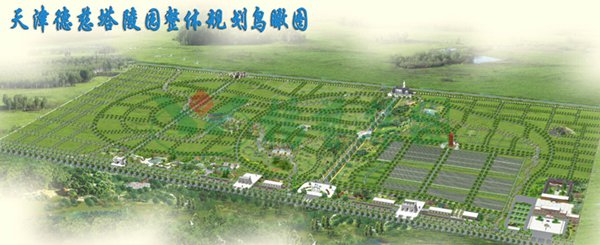首页 - PG电子官方网站
