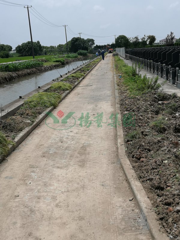 首页 - PG电子官方网站
