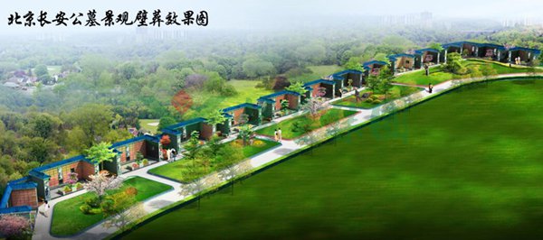 首页 - PG电子官方网站