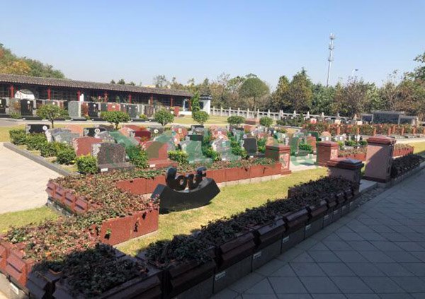 首页 - PG电子官方网站