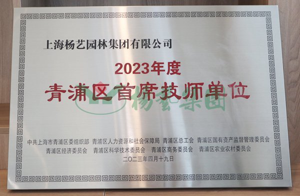 首页 - PG电子官方网站