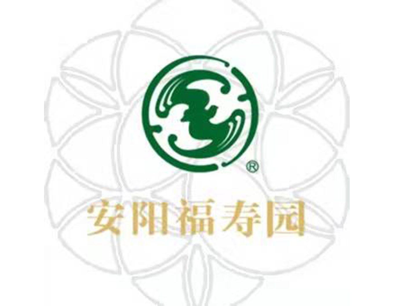 首页 - PG电子官方网站