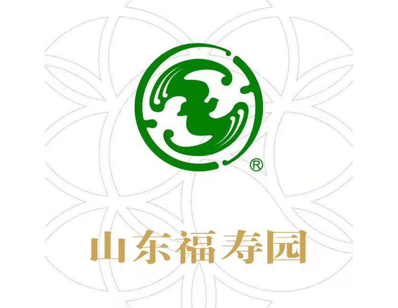 首页 - PG电子官方网站