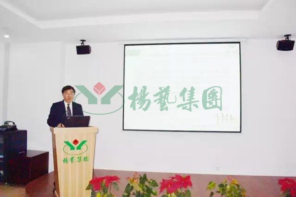 首页 - PG电子官方网站