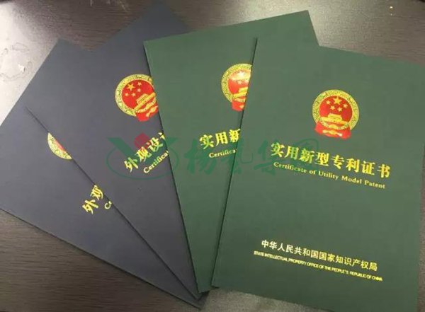 首页 - PG电子官方网站