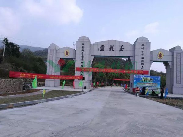 首页 - PG电子官方网站