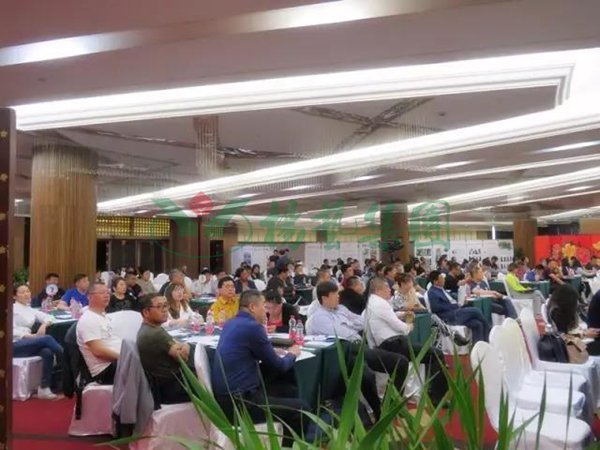 首页 - PG电子官方网站