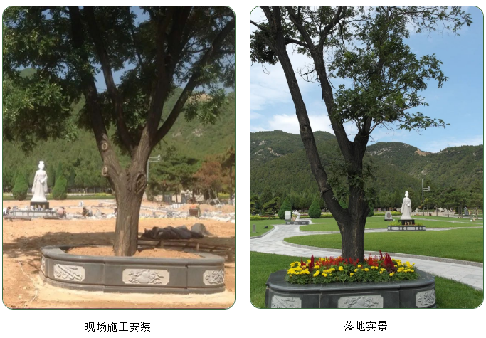 首页 - PG电子官方网站