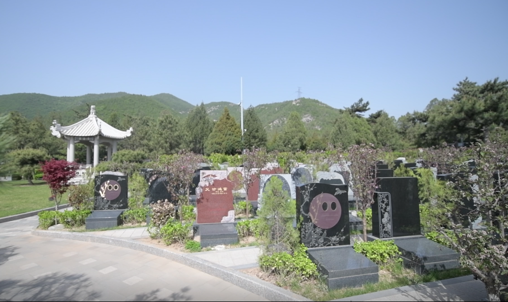 首页 - PG电子官方网站