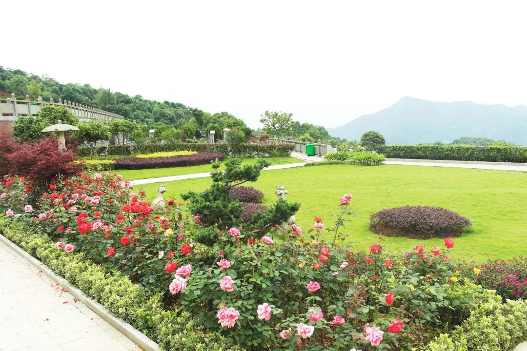首页 - PG电子官方网站
