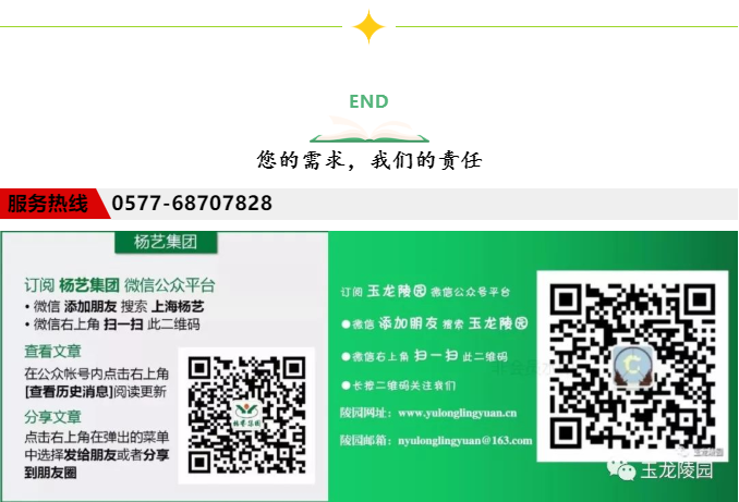 首页 - PG电子官方网站