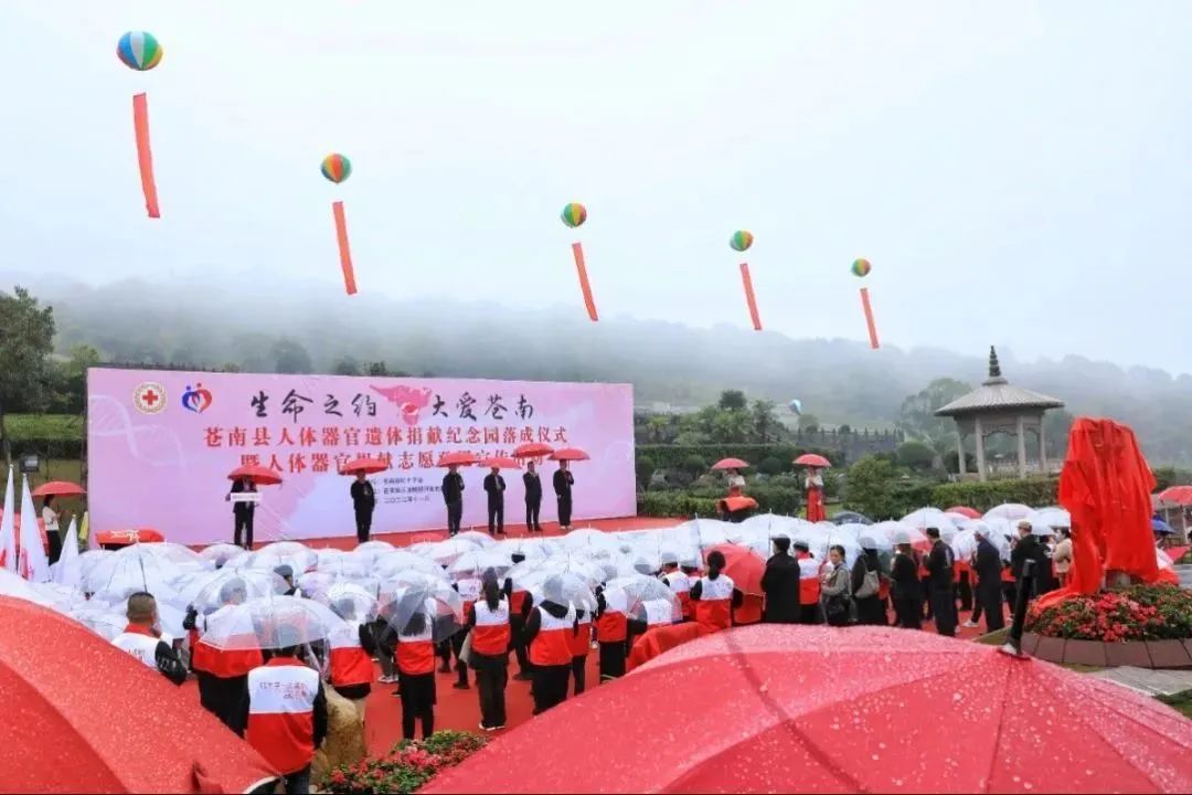 <b>生命之约，大爱玉龙</b>