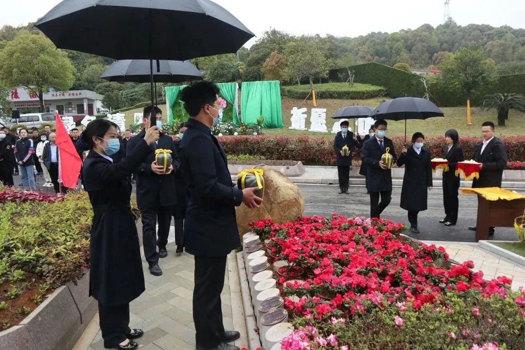 首页 - PG电子官方网站
