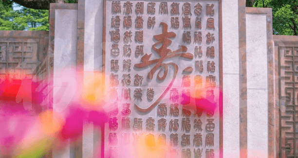 首页 - PG电子官方网站