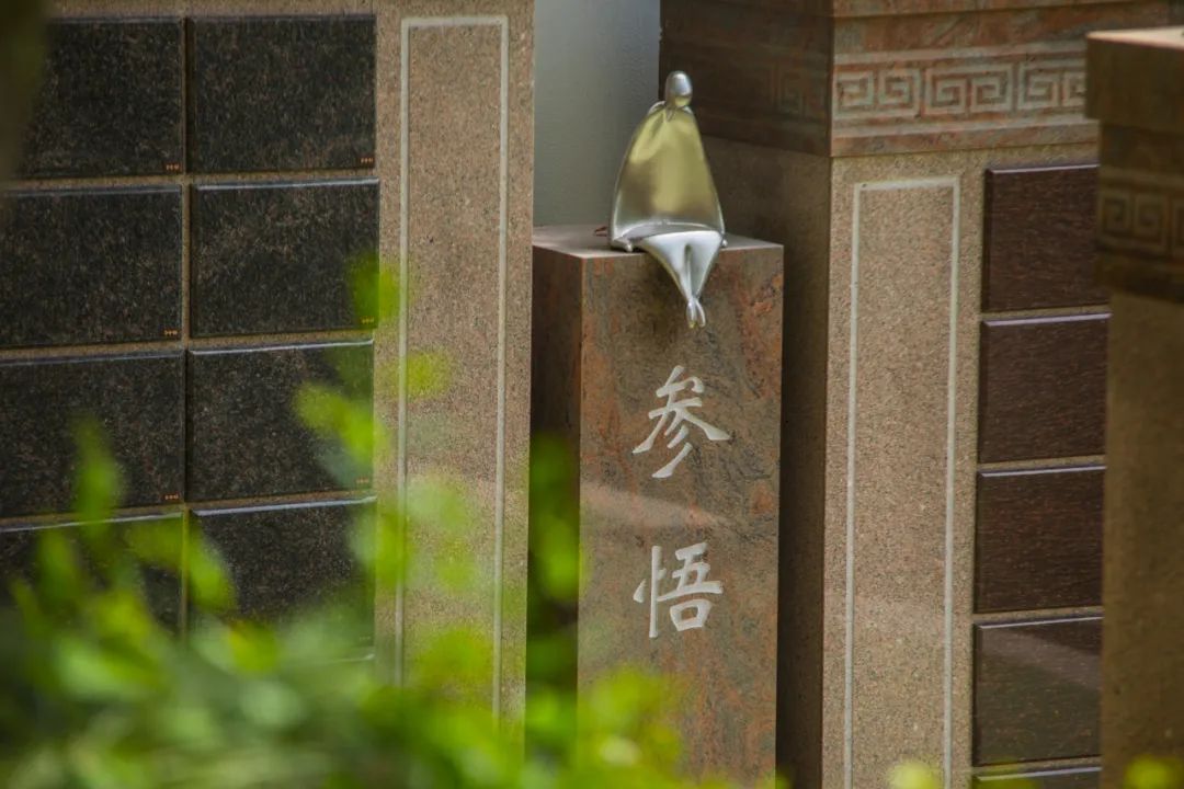 首页 - PG电子官方网站