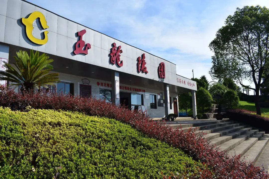 首页 - PG电子官方网站