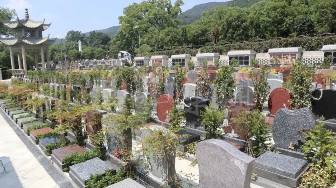 首页 - PG电子官方网站