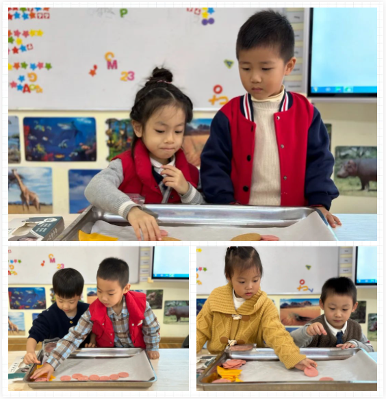 1-231124160RM92 首页 - PG电子官方网站