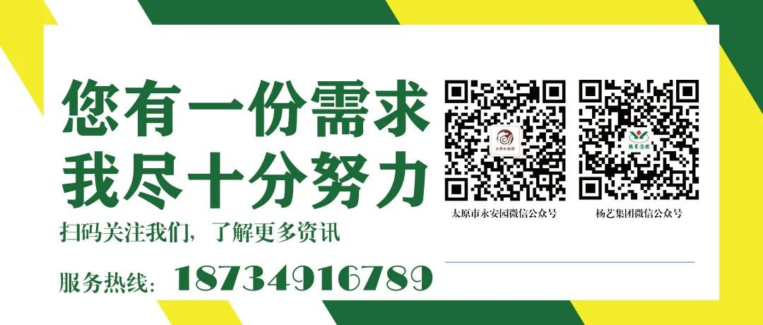 首页 - PG电子官方网站