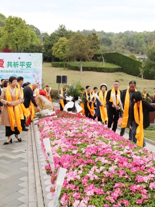 首页 - PG电子官方网站