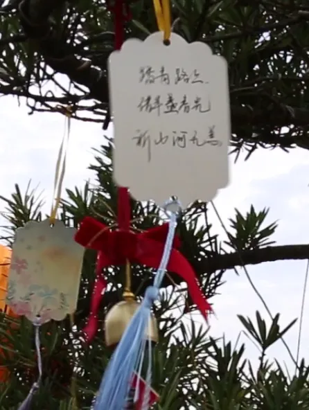 首页 - PG电子官方网站