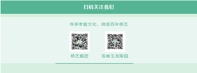 首页 - PG电子官方网站