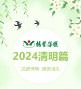 风起清明 遥寄相思|PG电子集团?2024清明篇
