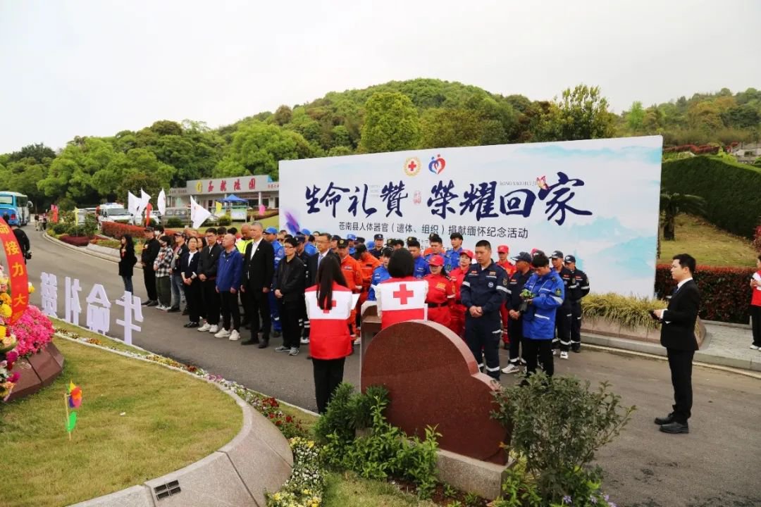 首页 - PG电子官方网站