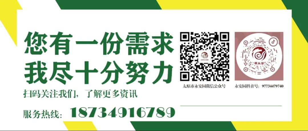 1-240615110356491 首页 - PG电子官方网站