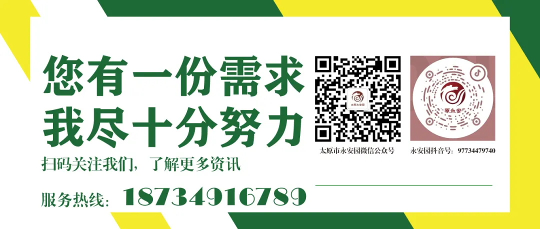 1-240622095114V6 首页 - PG电子官方网站