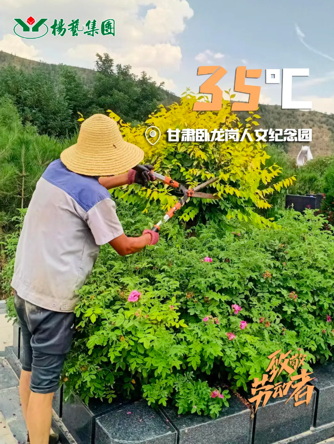 首页 - PG电子官方网站
