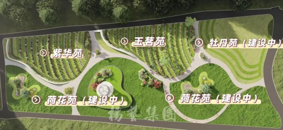 首页 - PG电子官方网站