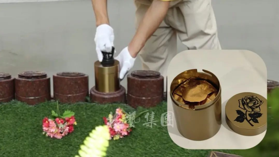 首页 - PG电子官方网站