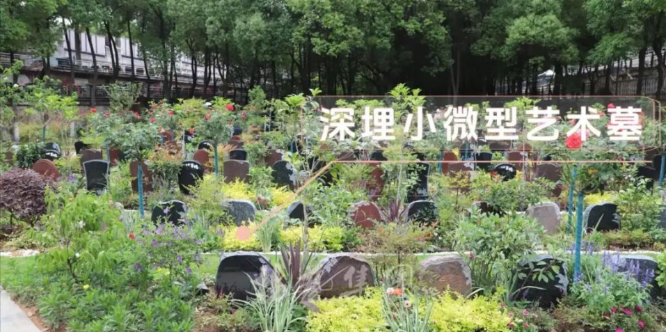 首页 - PG电子官方网站