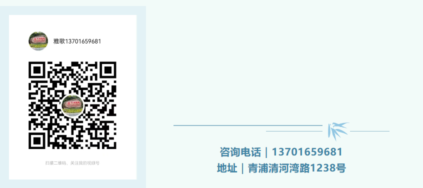 首页 - PG电子官方网站