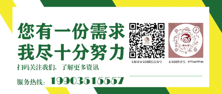 首页 - PG电子官方网站