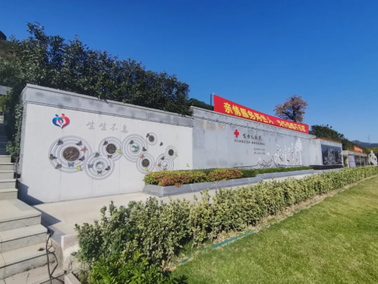 首页 - PG电子官方网站