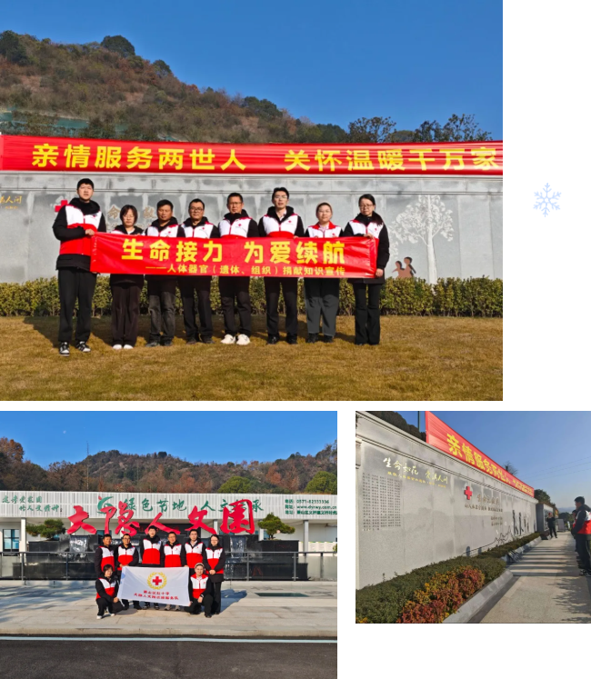 首页 - PG电子官方网站