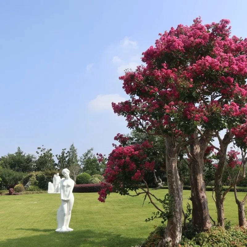 首页 - PG电子官方网站