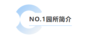 首页 - PG电子官方网站