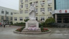 石雕匠心，镌刻医者风华