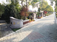 城市最后一平米：生态葬，是与自然的和解？还是无奈的选择？