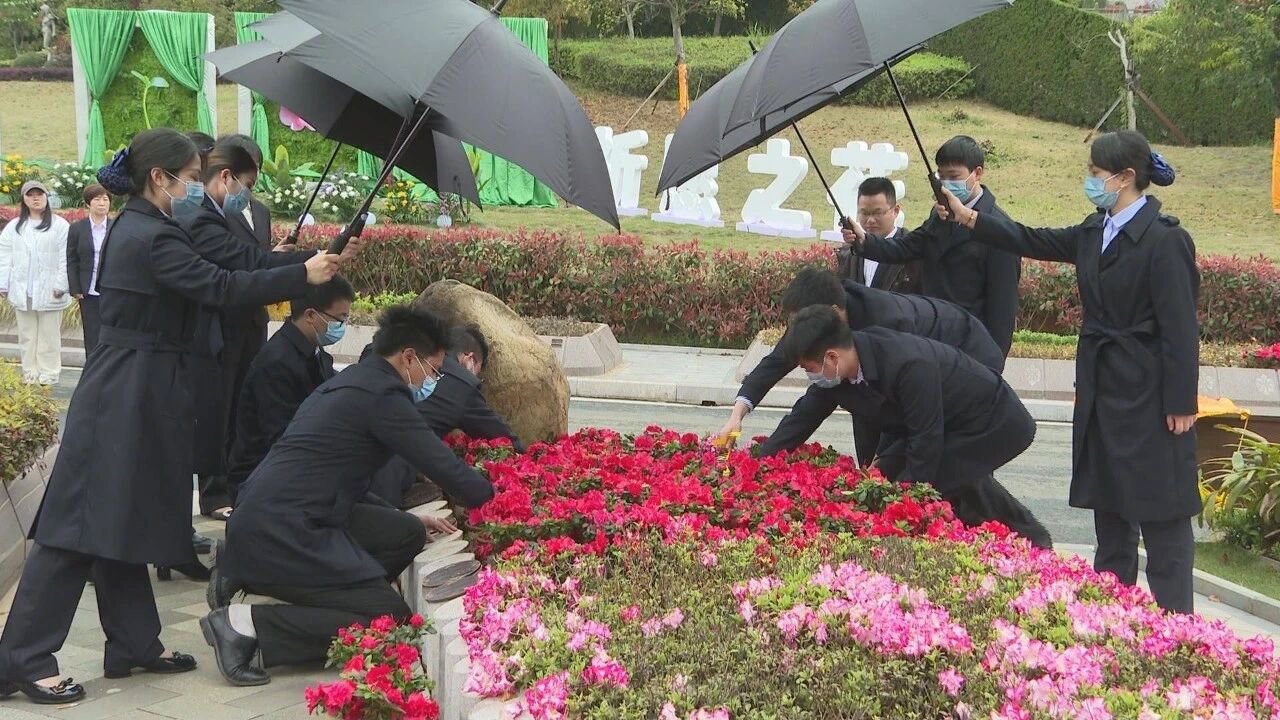 首页 - PG电子官方网站