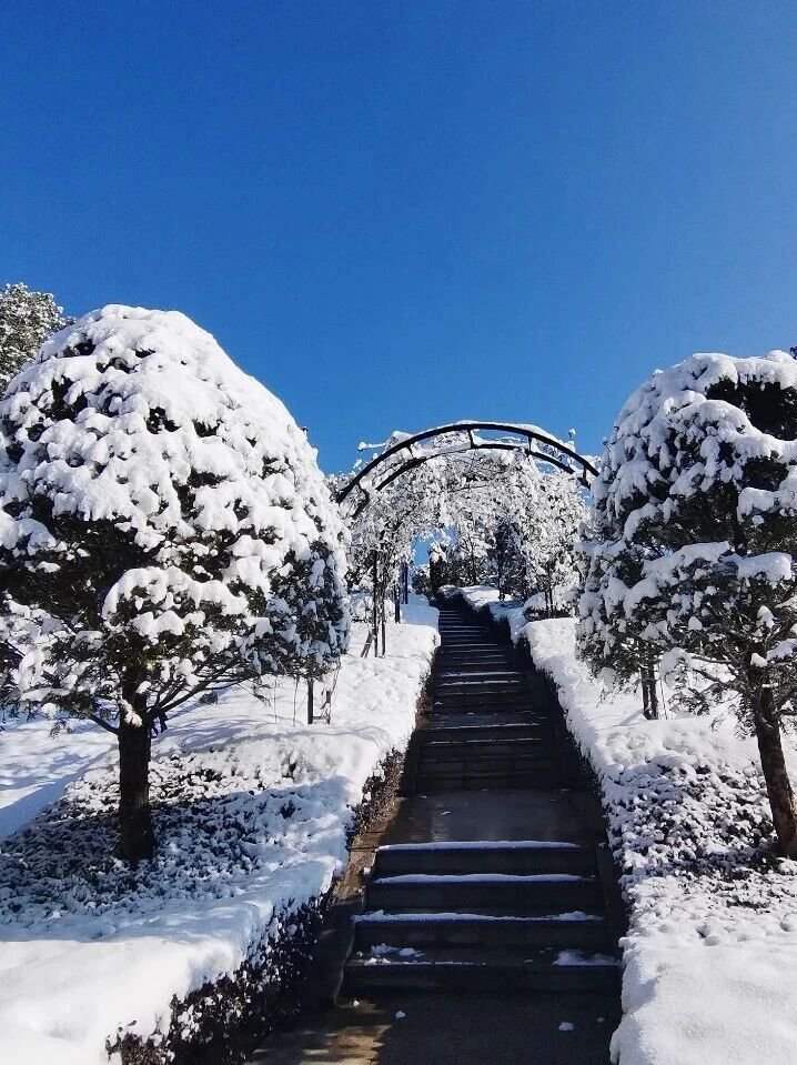 首页 - PG电子官方网站