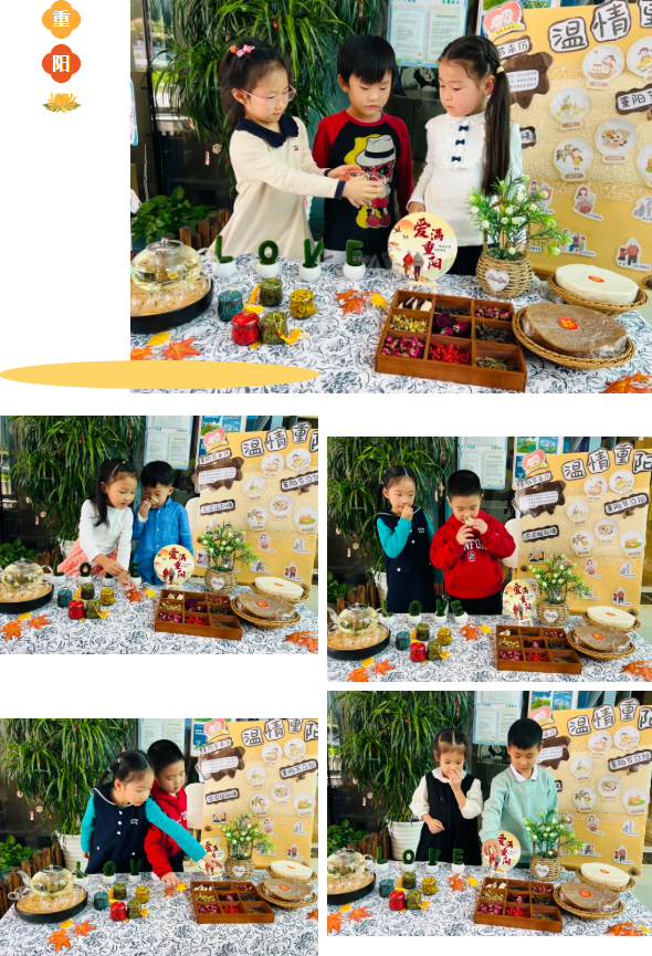 首页 - PG电子官方网站